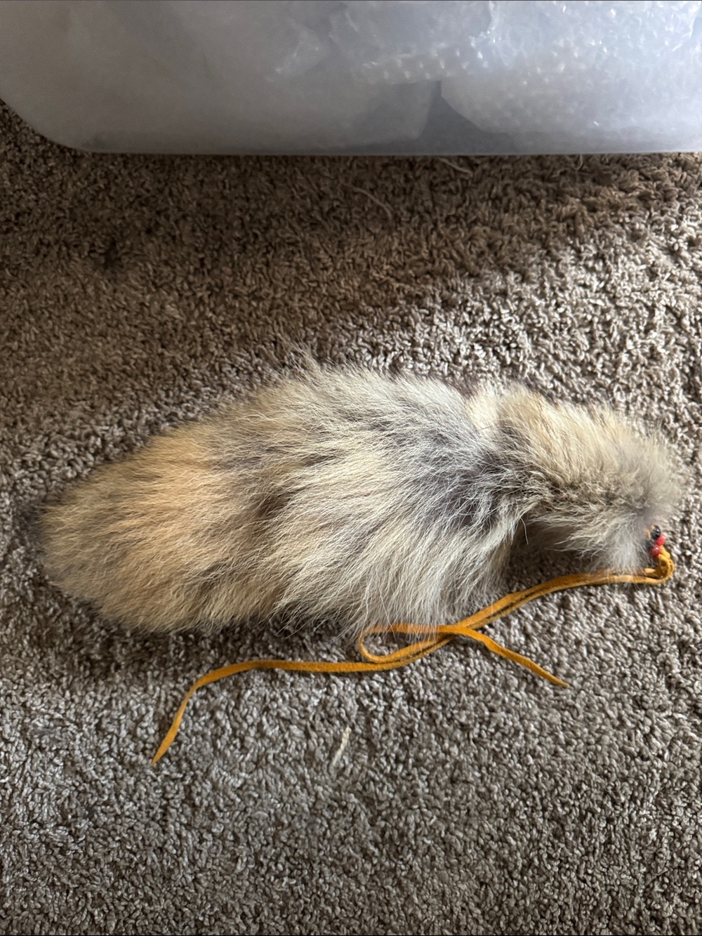Fox tail ? with beaded suede tie